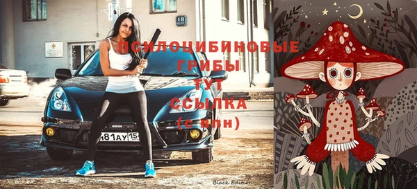 мдпв Богородицк