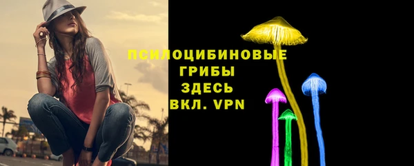 экстази Богородск