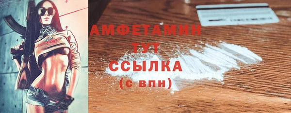 мдпв Богородицк