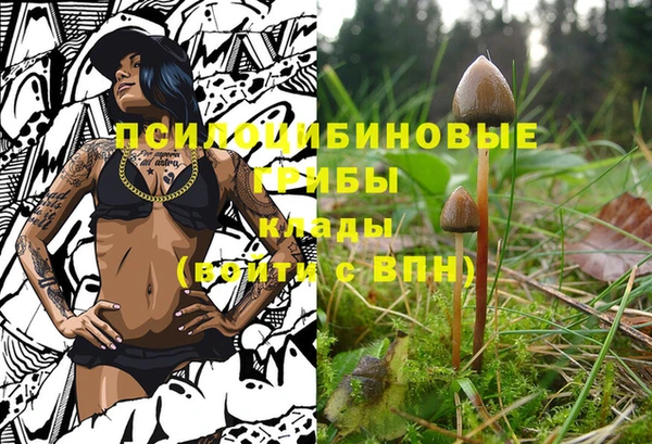мдпв Богородицк